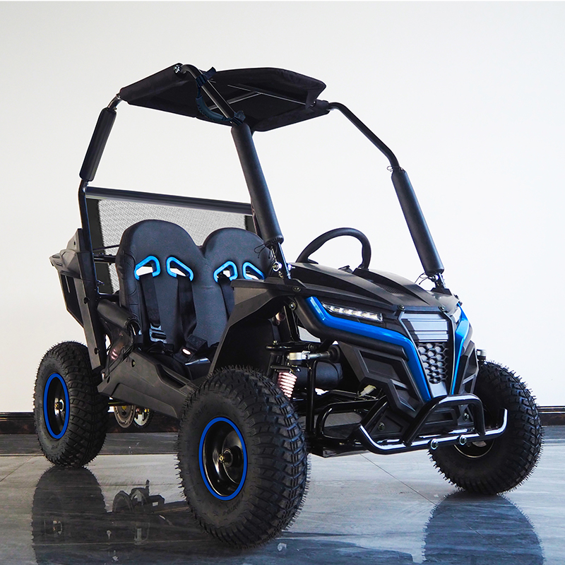 2022 новейший дизайн 1000 Вт Электрический мини Багги Buggy1000W (k1)