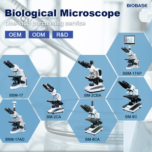 Microscopio Biológico Biobase con Cabezal Binocular, Objetivos Acromáticos 4X 10X 40X 100X para Educación en Laboratorio - Product Image 6