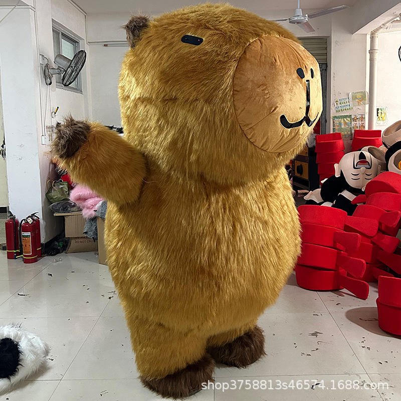 Kabi bala de pelo largo