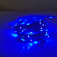 Bande lumineuse intelligente RVB colorée 30LEDs/M 5M 6M Lampe en cuivre DC12V connectée par USB pour un usage domestique