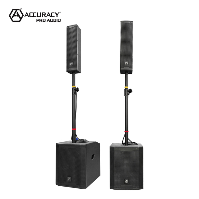 Accuracy Pro Audio AC49-MK2 1000W 12 Inch Woofer Professional Audio PA System Wooden Active Array Powered Column Speaker