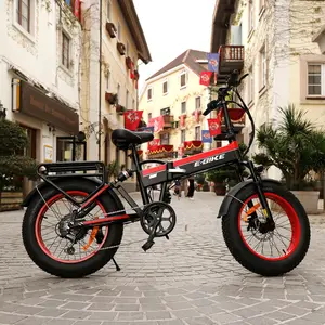 Carbon Fiber Fat Tire Ebike Electric Bike Woman 500W High Quality Electric Bike