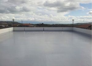 Metal <b>Waterproof</b> Roof Coating Waterproofing Coating Roof Liquid Polyurea <b>Waterproof</b> Coating - Product Image 6