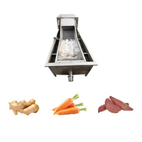 Ligne de lavage, de nettoyage, de séchage, de traitement et de tri pour les gros légumes (gingembre, carottes, patates douces)