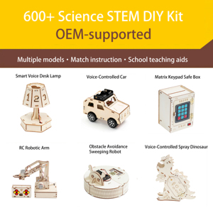 Juguetes Educativos de Madera con Logotipo Personalizado, Juguetes de Experimentación Física para la Escuela, Juguetes STEM de Madera, Kits de Bricolaje para Niños - Product Image 1