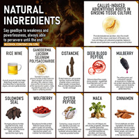 Cistanche & Maca Ginseng Root Wine for Men Boisson tonique à base de plantes pour stimuler la vitalité, l'énergie et l'endurance