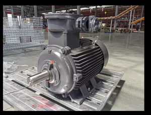 Motore elettrico a induzione a tre fasi di alta qualità motore elettrico ad alta efficienza Ie1 Ie2 Ie3 Weg Siemens Abb Motors - Product Image 3