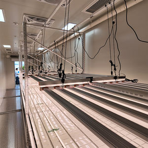 Système d'agriculture verticale hydroponique Skyplant Smart Farm Grow, serre agricole en conteneur maritime de 40 pieds pour la culture agricole - Product Image 5