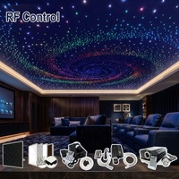 Kit d'éclairage LED à télécommande pour plafond en polyester avec fibres optiques pour points touristiques