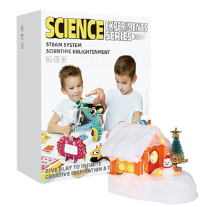 Glowing Cartoon Christmas Snow House 7-12Y Kids STEM Educational Kit DIY Battery Powered Science Toys