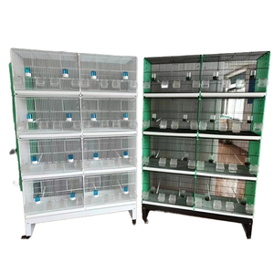 आधुनिक छोटी नस्लों पक्षी ट्रे स्क्वायर प्लास्टिक पैलेट बटन बंद करने के साथ 10 किलोग्राम क्षमता सभी मौसमों - Product Image 6