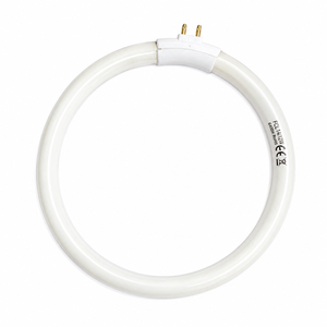 Lámpara <span class=keywords><strong>fluorescente</strong></span> redonda de <span class=keywords><strong>12W</strong></span>, Bombilla circular, tubo de anillo <span class=keywords><strong>T4</strong></span>, reemplazo de luz <span class=keywords><strong>fluorescente</strong></span>, lámpara de luz diurna - Product Image 2