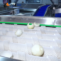 Automatische rode uienschilmachine, uien snijmachine, gembermolen tot poeder, productielijn voor knapperige gebakken ui