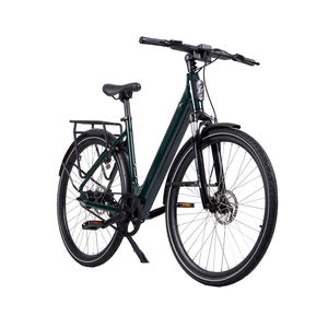 Vélo électrique de ville Tenways de haute qualité, avec transmission par courroie, cadre bas, moteur sans balais intégré, batterie intégrée, vente en gros directe - Product Image 4
