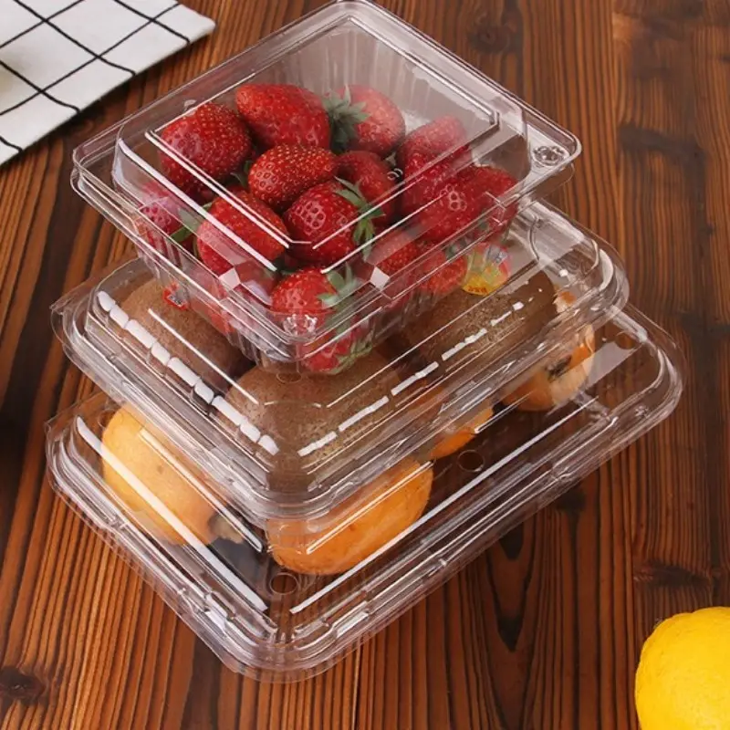 Contenedor de frutas secas F11 desechable, bandeja de plástico transparente para mascotas con tapa para fresa