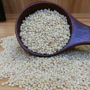 2023 yeni ürün çin tahıl ham beyaz sorgum sıcak satış - Product Image 6