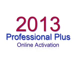 Original 2013 Pro Plus Key 100% Online Activation 2013 Professional Plus License Send By Ali Chat