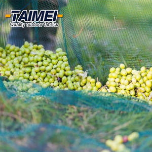 Nông nghiệp cây ăn quả nhựa nông nghiệp lưới <span class=keywords><strong>Olive</strong></span> thu hoạch <span class=keywords><strong>Net</strong></span> 8*14 cho <span class=keywords><strong>Olive</strong></span> thu hoạch - Product Image 6