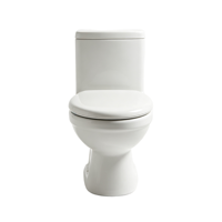 Ensemble de toilettes à poser de luxe, style classique moderne, WC carré en céramique avec siphon à aspiration en P, fabriqué en Chine