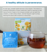 C39 Thé Biologique pour la Santé de la Prostate, Soutien Naturel pour le Bien-être Masculin, Favorise la Santé Urinaire et de la Prostate, Tisane à Base de Plantes pour les Soins de la Prostate