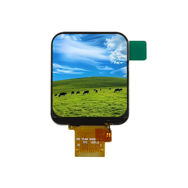 1.69 Inch 240x280 IPS TFT LCD Display with LED Backlight and SPI Interface for Smart Watch GC9309 Color Module