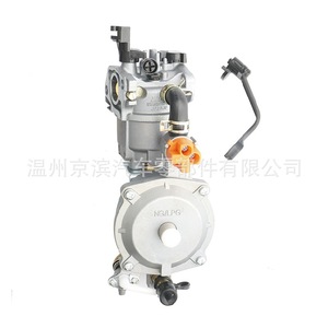 Carburateur pour moteur Honda GX160 GX200 160 168F 170F multi-carburant GPL, pièce de rechange neuve - Product Image 2