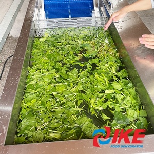Máquina de limpieza de perejil, limpieza de frutas y verduras, lavadora de burbujas - Product Image 2