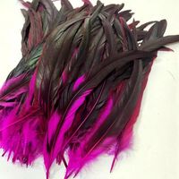 Plumes de queue de coq teintes de haute qualité, plumes de poulet colorées de 15 à 45 cm pour les décorations de carnaval et la couture de vêtements