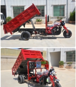 Triciclo Motorizado de Gasolina para Adultos de 150cc, Triciclo de Pasajeros <span class=keywords><strong>con</strong></span> <span class=keywords><strong>Techo</strong></span> y Parabrisas - Product Image 5