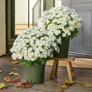 Injoy IJ049 Vente en gros de fleurs de tournesol artificielles modernes faites à la main en soie, 5 têtes, réalistes, respectueuses de l'environnement, pour Noël - Product Image 2