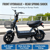 Vélo Électrique Urbain 250W à Vendre Rapidement, Édition Limitée, Batterie 48V 15.6Ah, Freins à Disque Doubles, Autonomie 60km