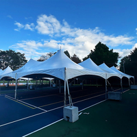 Carpa de Jardín 10X20, Carpa Resistente para Fiestas, Eventos, de Aluminio, Impermeable, de PVC, Tipo Pagoda