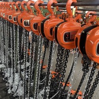 Polipasto Manual de Cadena de 1 Tonelada, Elevación de 5m, Limitador de Sobrecarga para Trabajos en Plantas de Cemento