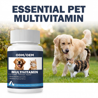 Complément Multivitaminé Direct Usine pour Chat – Soin Nutritionnel Quotidien, Vitamines et Suppléments pour Chat, Comprimés Renforçant l'Immunité pour Chats