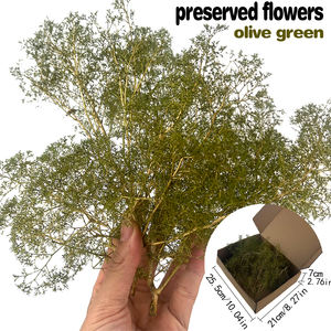 Árboles y Arbustos de Maqueta Superrealistas para Escaleras, ModelO HO 00 n, Diorama de Juegos de Guerra, Fondo de Tren - Product Image 4