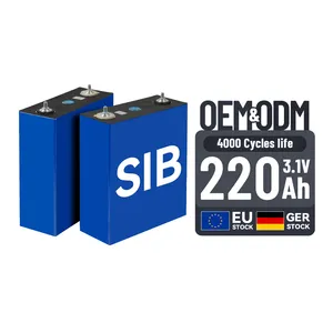 Export Natrium-Ionen-Batterie 220Ah 3,1 V Natrium ionen batterie 4000 Zyklen Prismatische Na-Ionen-Zelle für industrielle Automatisierung roboter