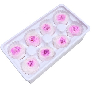 Venta al por Mayor de Nuevos Productos: Cabezas de Rosa <span class=keywords><strong>Austin</strong></span> Secas y Conservadas de Larga Duración para Decoración de Mesa y Hogar - Product Image 1