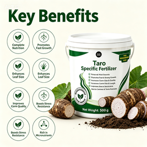 Engrais Spécifique pour <span class=keywords><strong>Taro</strong></span> 500g NPK 18-8-20 Accélère la Croissance des Racines et des Feuilles, Agrandit les Cormes, Améliore la Texture, Augmente de 80% <span class=keywords><strong>le</strong></span> Rendement en Terres Ouvertes - Product Image 4