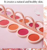 Palette de fard à joues rose vegan personnalisable avec logo, longue tenue, waterproof, poudre, marque privée