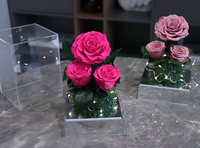 Nouveau Style LED Lumière Rose Jardin Roses Préservées dans une boîte en acrylique pour la décoration intérieure Cadeaux pour la fête des mères Saint Valentin Noël