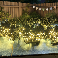 Guirlandes lumineuses LED décoratives imperméables pour l'extérieur, Noël, IP65, matériau en cuivre, Ra80, blanc chaud, pour arbre