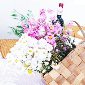 Estate Flora commercio all'ingrosso decorativo naturale fiori secchi Senza Tempo rosa fiorista forniture per la decorazione domestica - Product Image 5