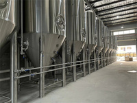 Tanque de Fermentación de Acero Inoxidable de 3000L-5000L, Duradero, con Control PLC, para Cerveza y Alcohol, Unidad de Fermentación Profesional Llave en Mano
