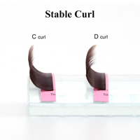 Extensions de cils classiques marron NAGARAKU, outils de maquillage
