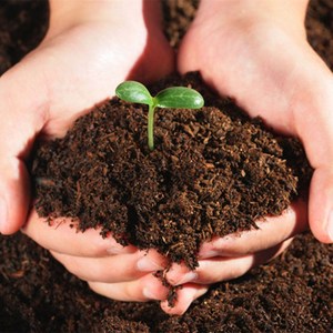 Brique de coco, terreau nutritif, milieu de culture organique pour les fleurs, les légumes et les plantes succulentes, substrat de culture en fibre de coco - Product Image 3