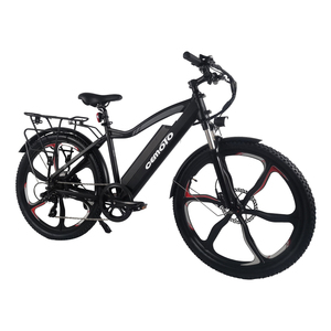 Vélo électrique de style tendance, puissant, batterie au lithium longue portée 48V, 350W, 7 vitesses, 26*2.1 pouces, vélo électrique de montagne - Product Image 3