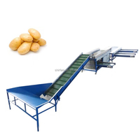 Automatique Tomate Trieuse Pommes De Terre Fruits Pomme Taille Tri Oignon Myrtille Diamètre Machine de Classement