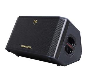 Pièces et accessoires pour instruments à cordes COOLMUSIC BP60D PLUS Amplificateur portable alimenté par batterie de 300 watts - Product Image 5
