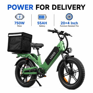 Bicicleta Eléctrica de Largo Alcance (240 km), Batería de Litio de 48V 55Ah, 750W, Neumáticos Anchos, Doble Suspensión, Bicicleta de Reparto para Adultos - Product Image 1