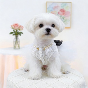 Robe pour animaux de compagnie toutes saisons en dentelle ajourée YF20260403-4, style princesse pour mariage, vêtements pour petits chiens et chats, vente en gros d'usine - Product Image 5